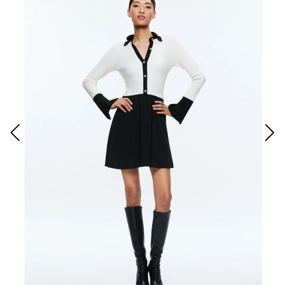 Alice and Olivia dress